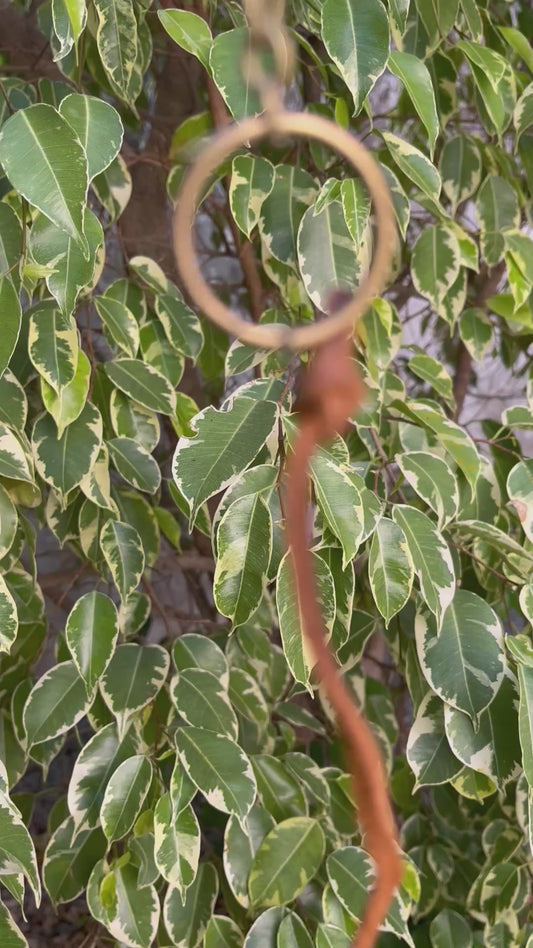 Collar combinado con argollas rojo